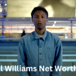 pharrell williams net worth 2026