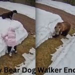 Grizzly Bear Dog Walker Encounter